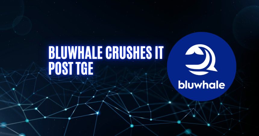Bluwhale Crushing After Its TGE - Product Release & Updates