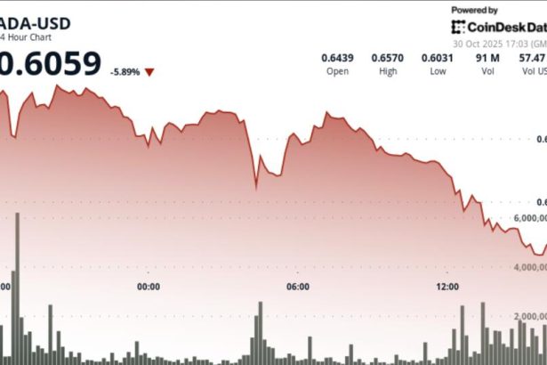 Cardano’s ADA Drops 6% Amid Report of Whales Offloading $100M in Tokens