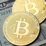 November 2025: Promising Cryptocurrencies to Monitor