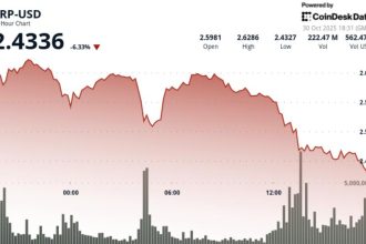 Ripple Plunges 8% as Bitcoin Falls Under $107,000