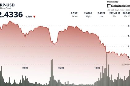 Ripple Plunges 8% as Bitcoin Falls Under $107,000