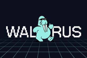 Walrus Big Client October Updates - Product Release & Updates