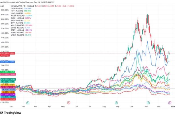 Winners and laggards emerge as IREN leads and BTDR falls behind
