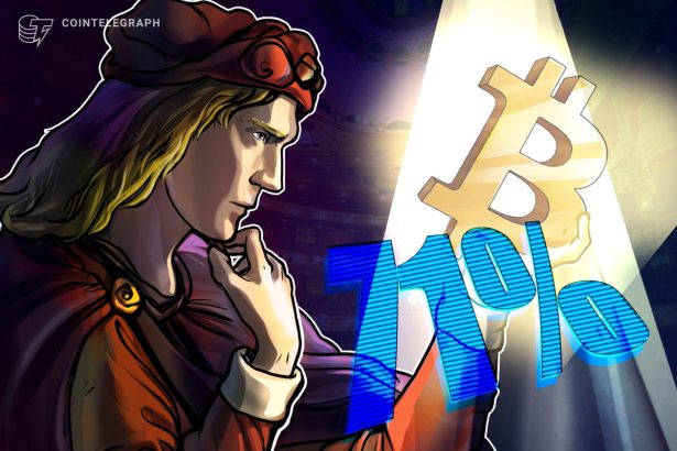 Over 70% of Institutional Investors Say Bitcoin Undervalued