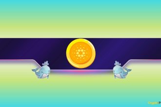 What Do Cardano Whales Know?