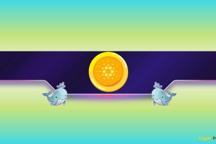 What Do Cardano Whales Know?