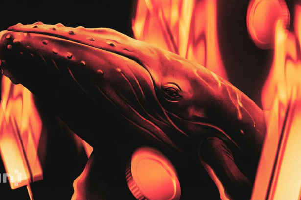 Why Is The Crypto Market Down Today?