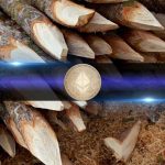 Ethereum Foundation Deploys 2,016 ETH as It Begins Large-Scale Treasury Staking