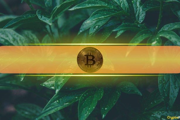 Analysts Eye 'Insane Reversal' in Markets as Bitcoin Touched $70K