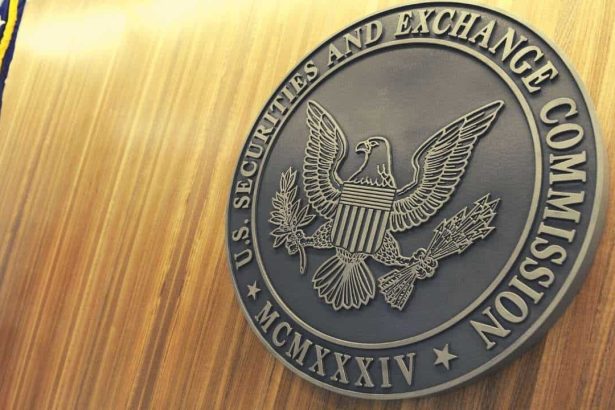 US SEC Proposes Guidelines on How Securities Laws Can be Applied to Crypto