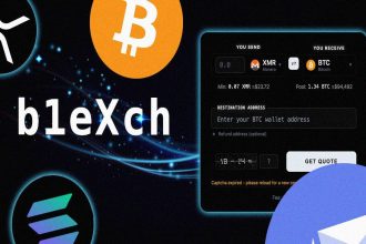 Your Passport Or Your Crypto Why Users Are Choosing B1exch.to