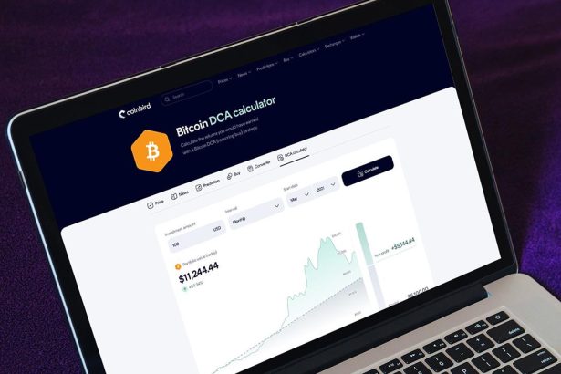 $100/Month In Bitcoin Since 2015 Would Have Turned $13,700 Into $632,000, Coinbird Analysis Shows