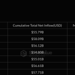 Monthly Institutional Flows
