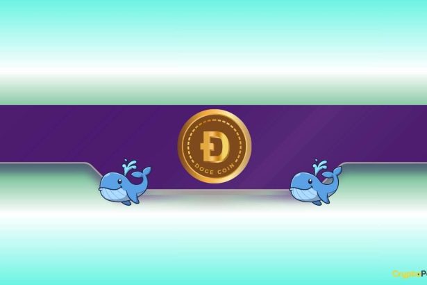 DOGE Price Dumps to Monthly Lows but Dogecoin Whales Load Up