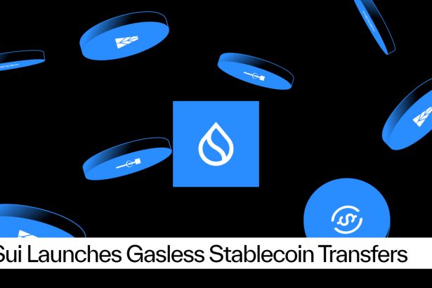 Sui Launches Gasless Stablecoin Transfers With Support From Fireblocks
