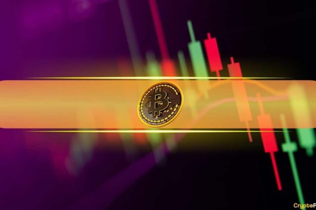 Altcoins Keep Steady as Bitcoin (BTC) Defends $64K Level: Market Watch