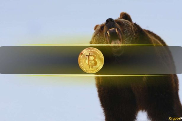 Here’s Why Bitcoin (BTC) Could Still Face Its Biggest Crash Ahead: Analyst