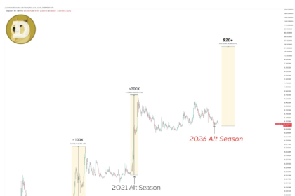Why The Dogecoin Price Could Rally 300x To Cross $20