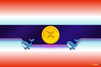 XRP Whale Activity Explodes 280% as Price Falls Below $1: What’s Going On?