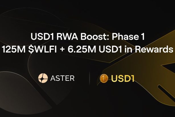 Phase 1, Offering 125M $WLFI + 6.25M USD1 in Rewards