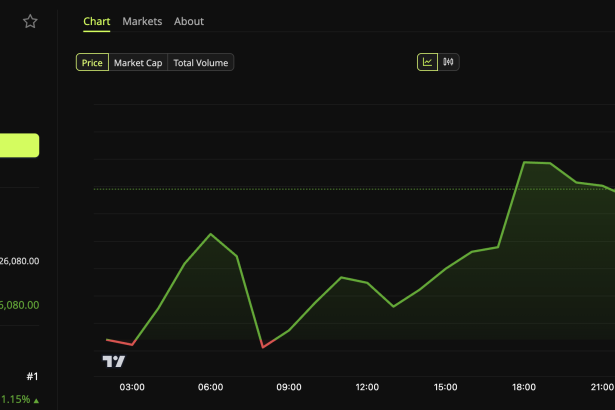 Bitcoin (BTC) Price Performance.